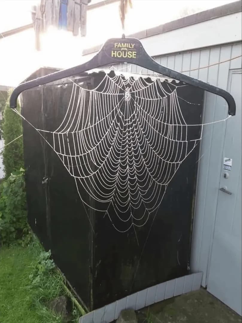 The way a spider built its web on my aunt's hanger
