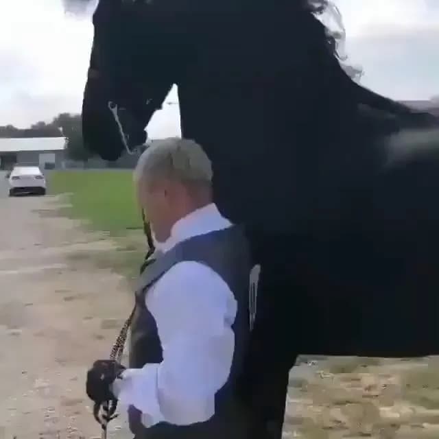 He might be Satan's steed, but boy does he have one hell of a trot.