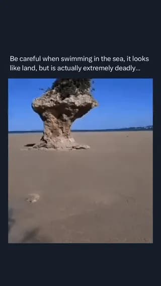 Well that's just horrifying
