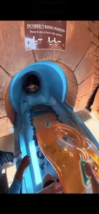 A waterslide that goes into a sharktank