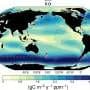 Southern Ocean may flip from carbon sink to carbon source under mitigation scenarios
