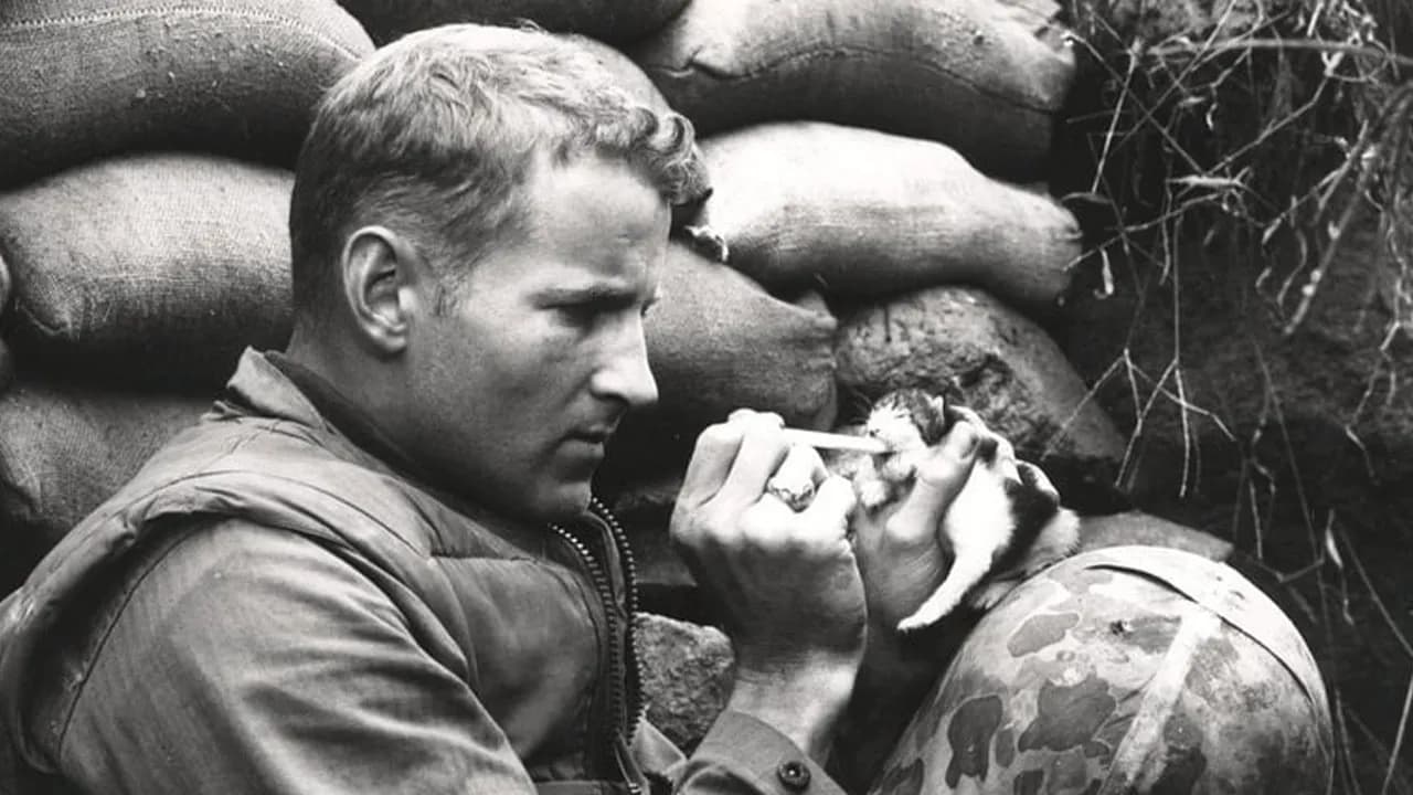 83 Fascinating And Emotional Historical Photos That Donāt Let Us Forget The Past (New Pics)