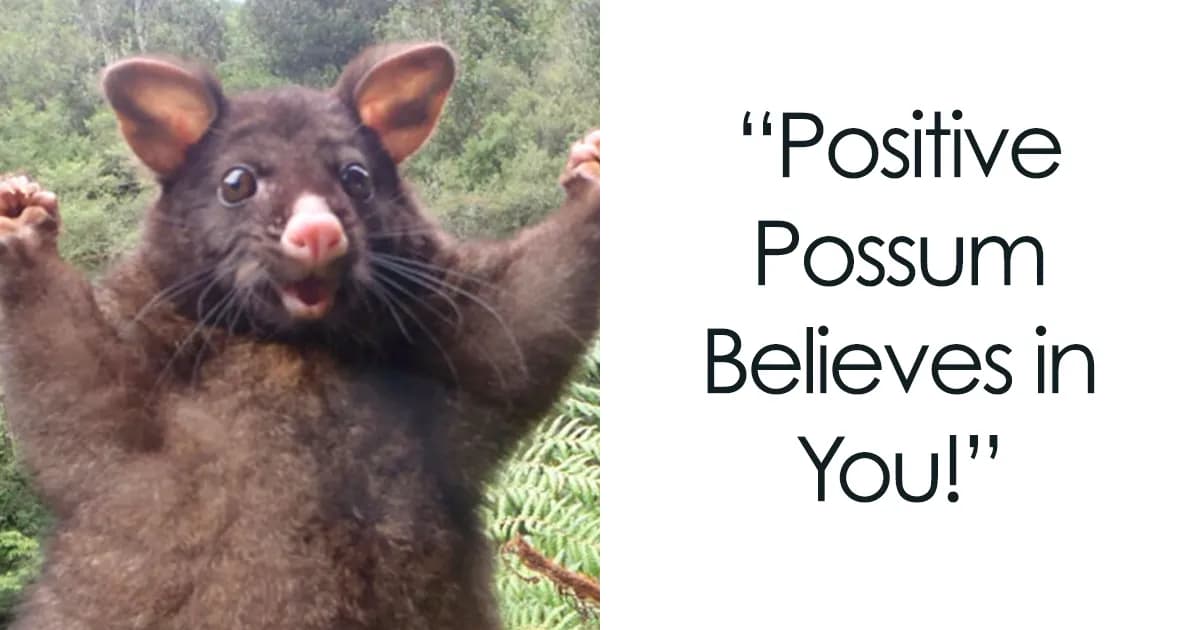 37 Motivational Memes For Encouragement During Difficult Times