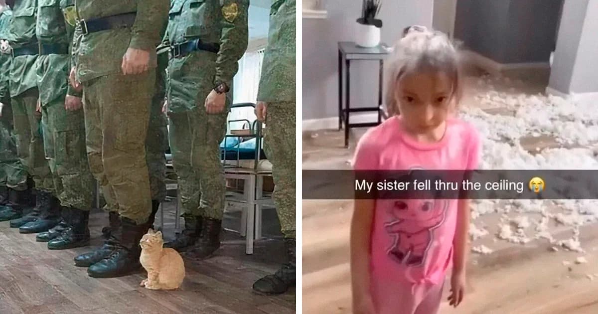 Unscripted Moments: 36 Chaotic Pictures That Feel Too Real