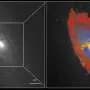 Active black holes reveal star-forming rings and shock waves in nine nearby galaxies