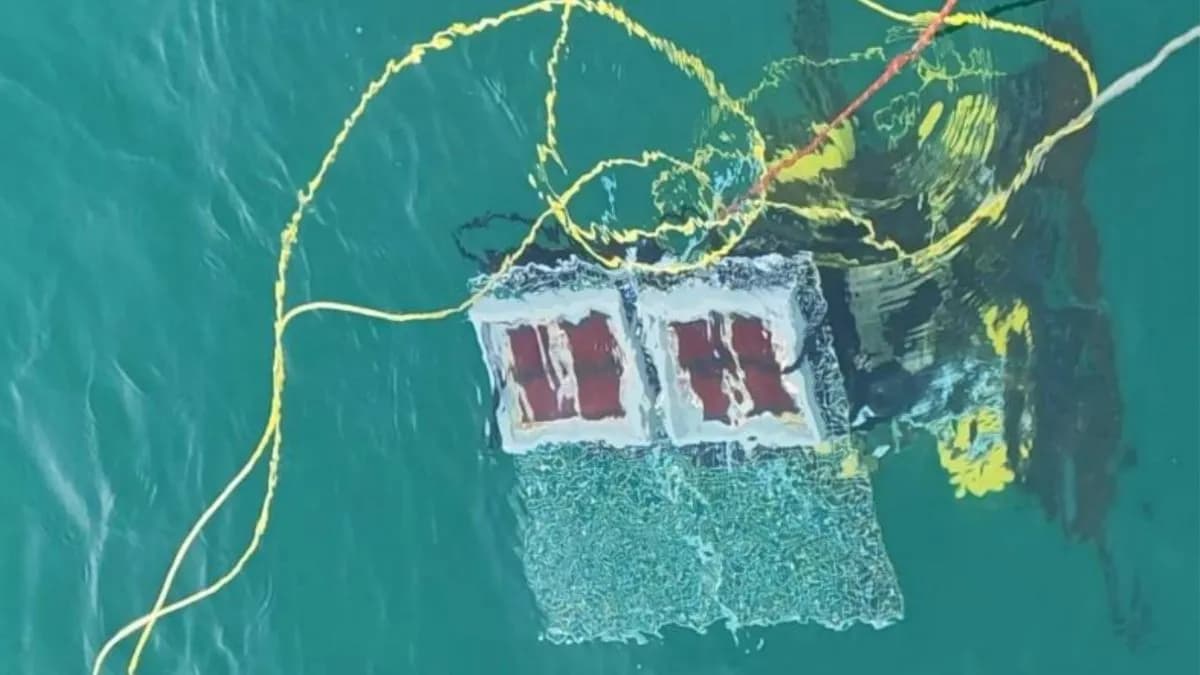 Scientists Successfully Test Underwater Solar Cells 32 Feet Below The South China Sea
