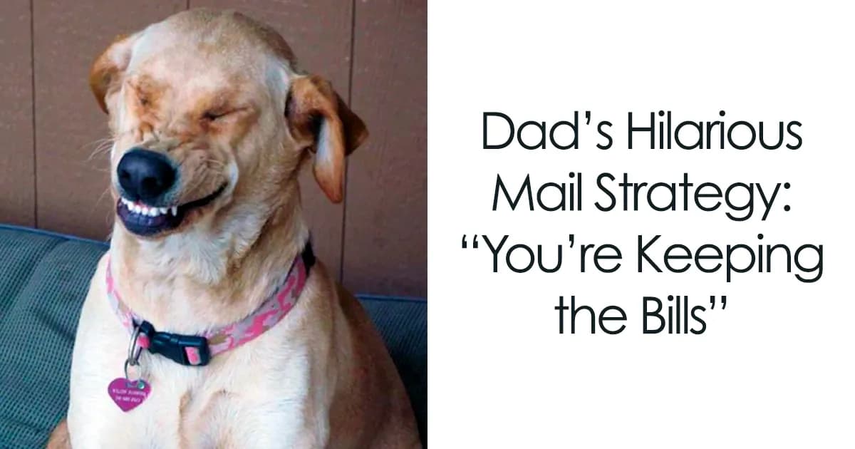 31 Dad Memes That Prove Dads Are The Funniest People Alive