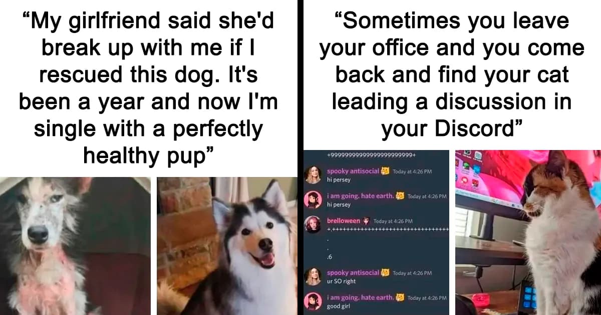 Wholesome Memes To Remind You That The World Isn’t All Bad