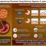 Smart nanoparticles deliver antibiotics directly to H. pylori
