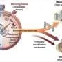 Drought-flood alternation under climate change