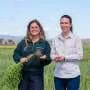 New breeding approach targets crop rotations, not yield alone