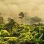 The local costs of remote sensing: Examining the ethics of laser scanning in tropical forests