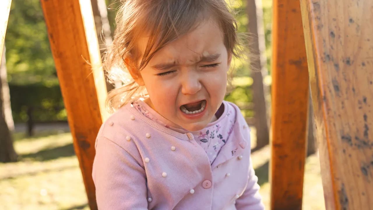 Spouses Get Arrested After They Let Kid Steal Neighborâs Toys And Police Do A Bit More Digging Than Needed