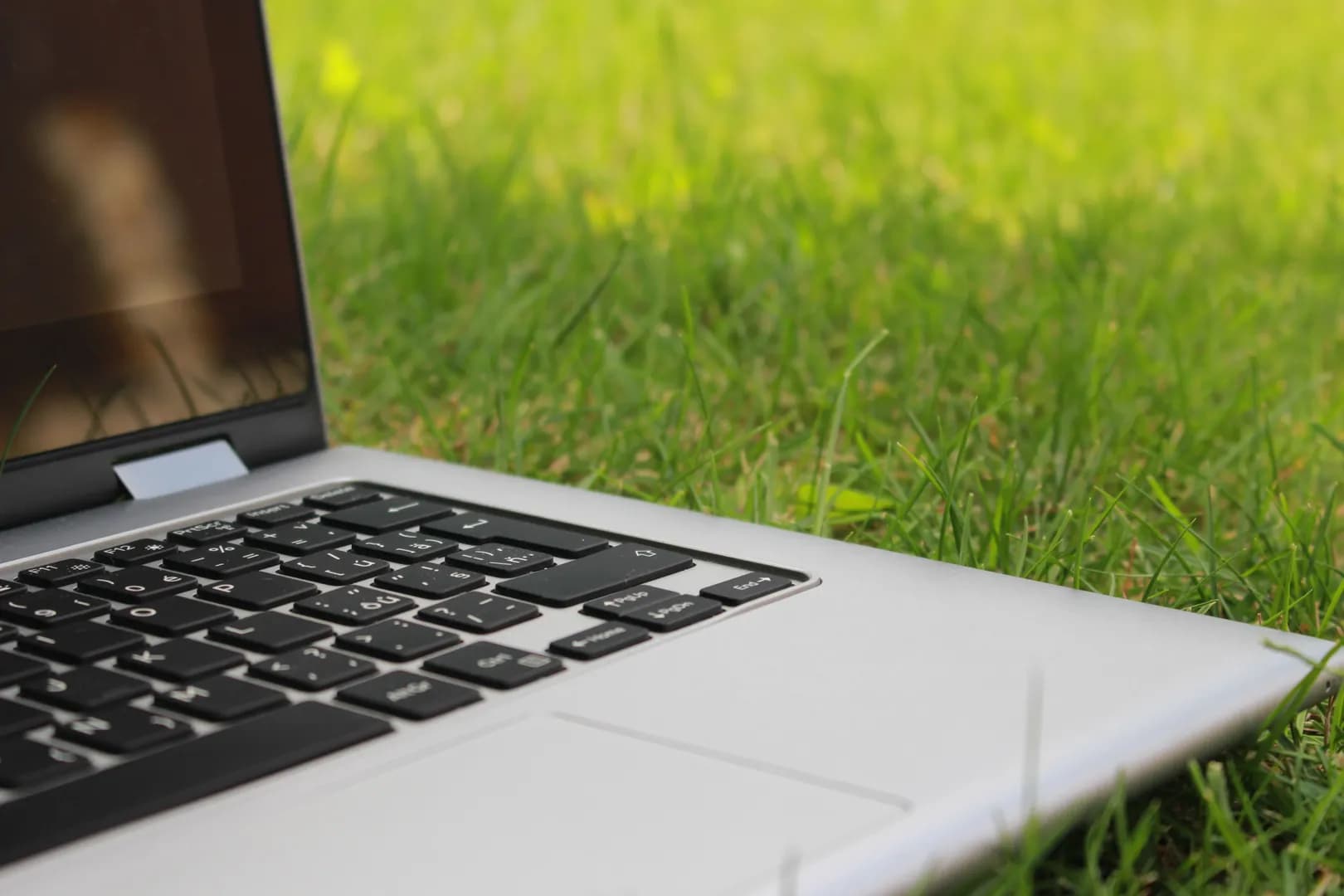 Get a lifetime license for Microsoft Office for only $29.97
