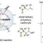 Developing new asymmetric catalytic reactions for the synthesis of complex molecules