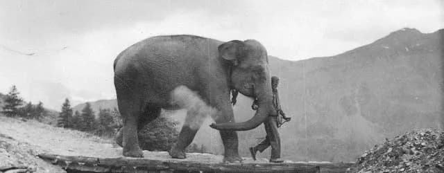 TIL that in 1959, a British expedition took a 5,700-pound elephant across the Alps to test whether Hannibal’s legendary crossing with elephants was actually possible. It was.