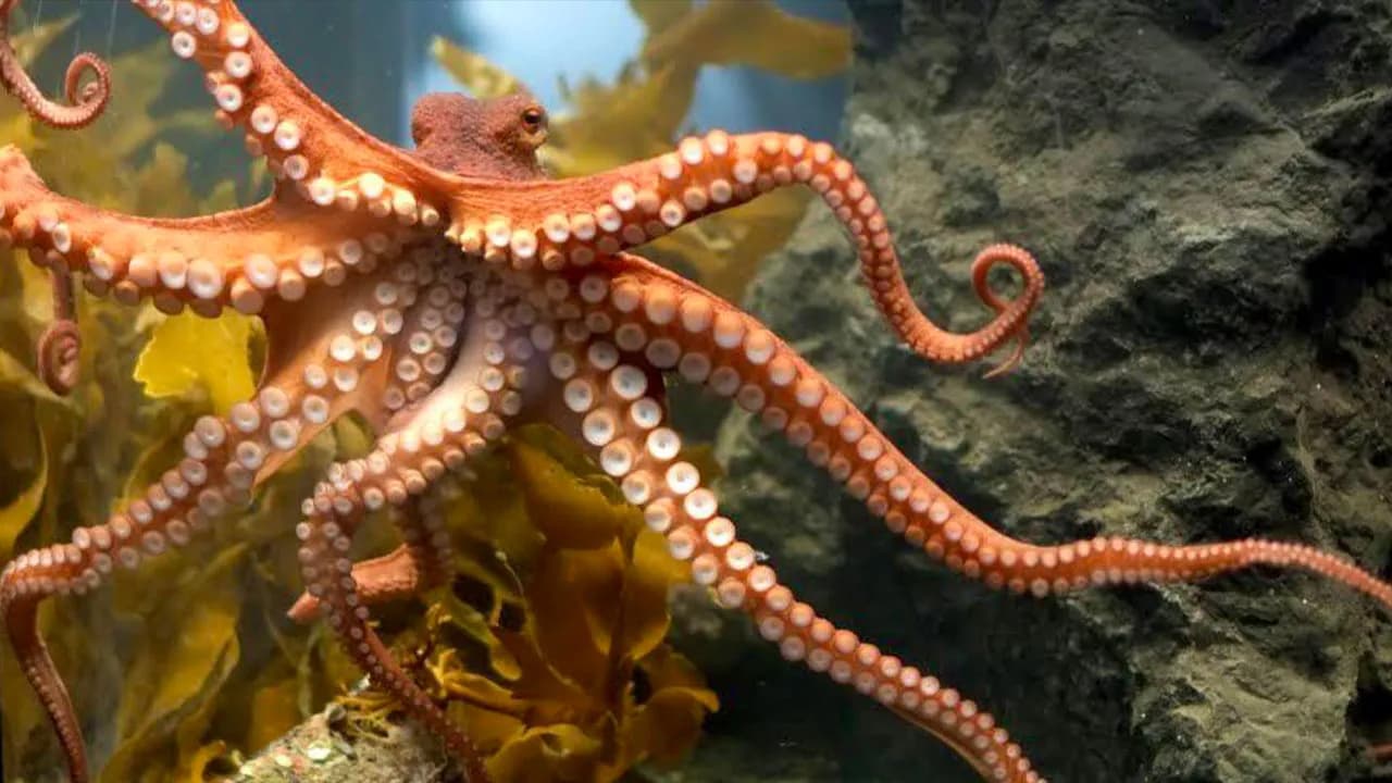 68 Fascinating Photos And Facts That Show Just How Incredible Nature Can Be (New Pics)