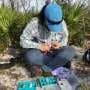 Florida scrub-jays attempt to breed at unusually young age after large-scale translocation