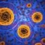 AI-powered barcode unmasks 'zombie cells' in aging tissue